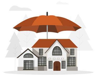 Property Insurance 